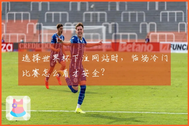 选择世界杯下注网站时,临场冷门比赛怎么看才安全?