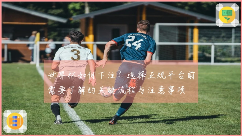 世界杯如何下注？选择正规平台前需要了解的关键流程与注意事项
