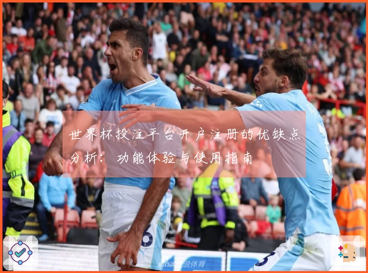 世界杯投注平台开户注册的优缺点分析：功能体验与使用指南