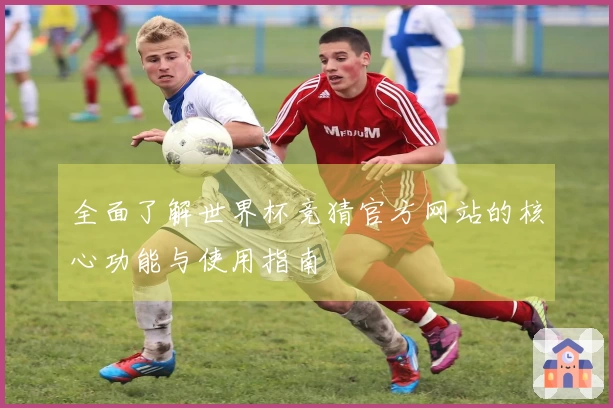 全面了解世界杯竞猜官方网站的核心功能与使用指南