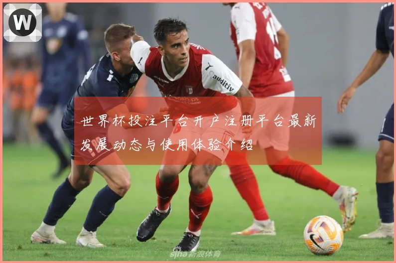世界杯投注平台开户注册平台最新发展动态与使用体验介绍
