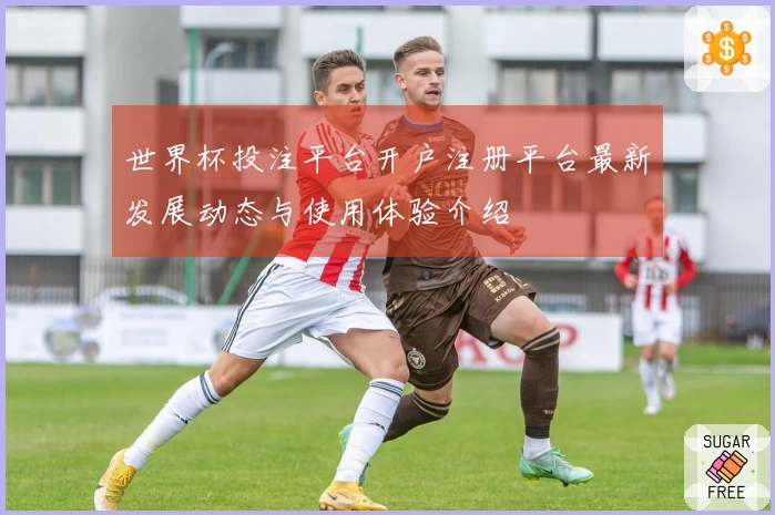 世界杯投注平台开户注册平台最新发展动态与使用体验介绍